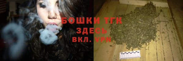 прущий лед Алексин