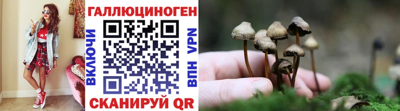 Купить  Сусуман  Галлюциногенные грибы прущие грибы 